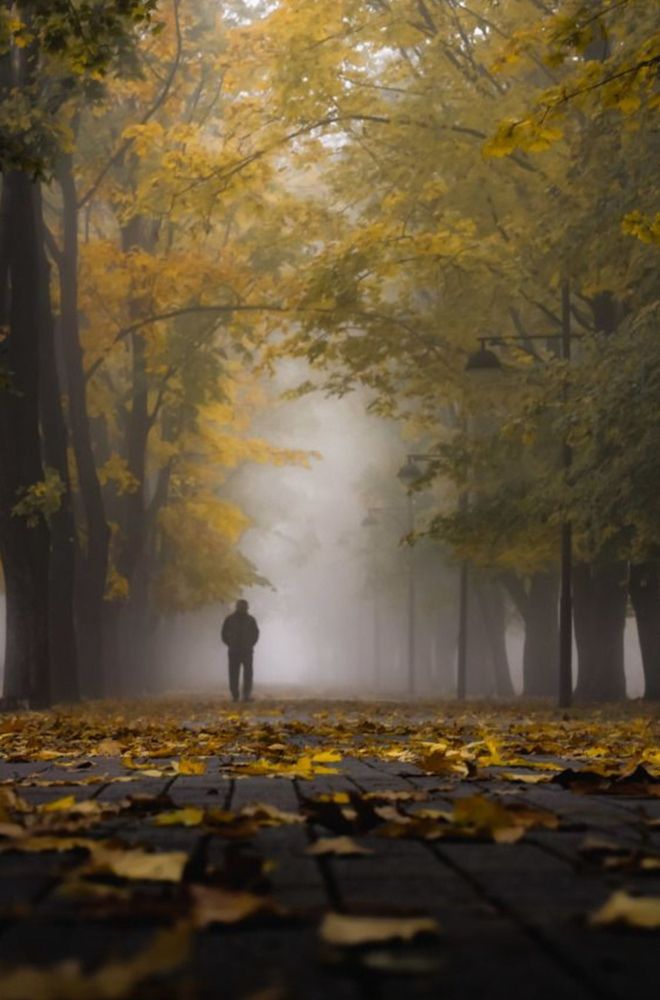 Photograph by Владимир Кульбит