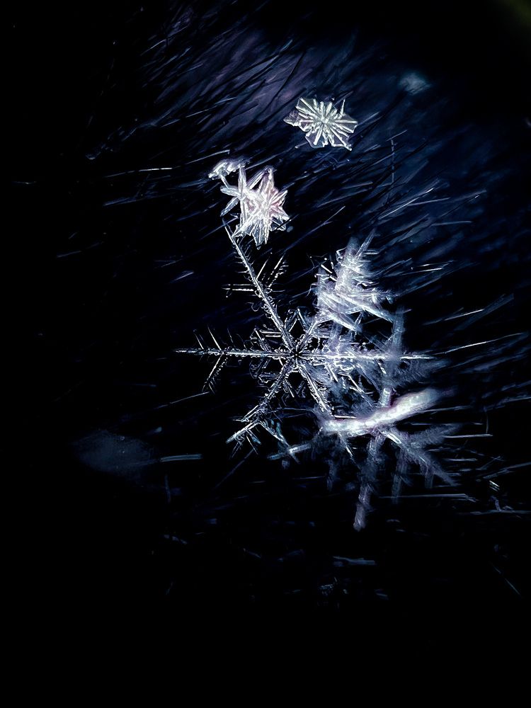 Photograph by Elvira