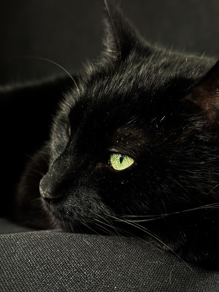 Photograph by Аlina BRAZIUL