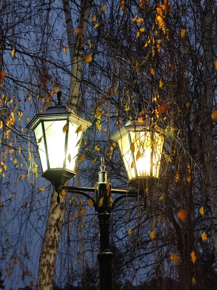 Photograph by Galina Novichkova