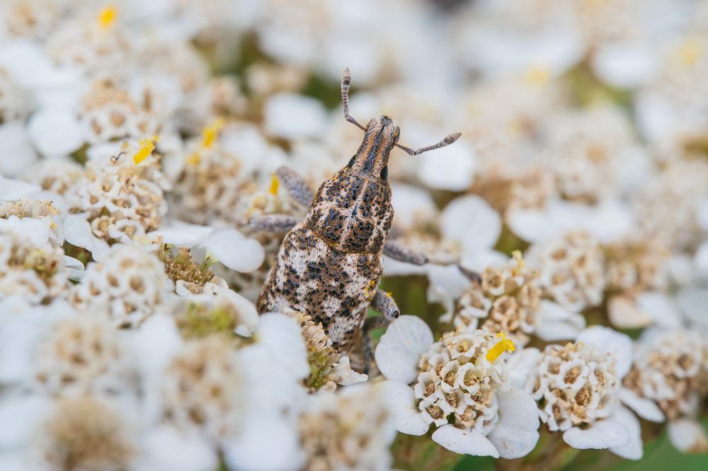 Photograph by Ольга Таланцева