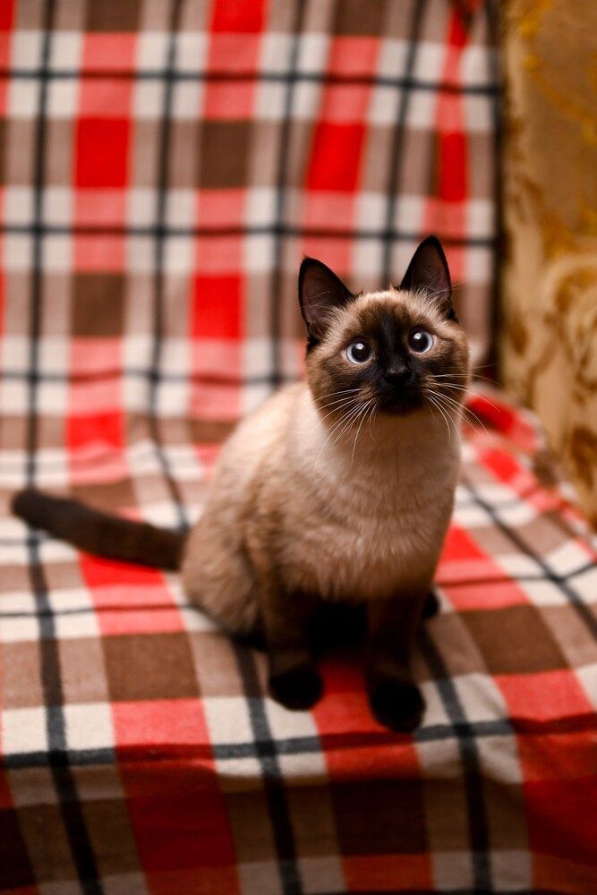 Photograph by Мария Лучкова