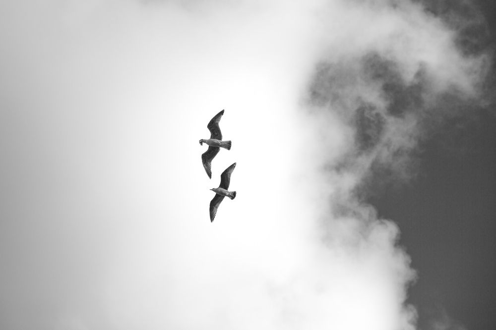 Photograph by Анна Ткаченко