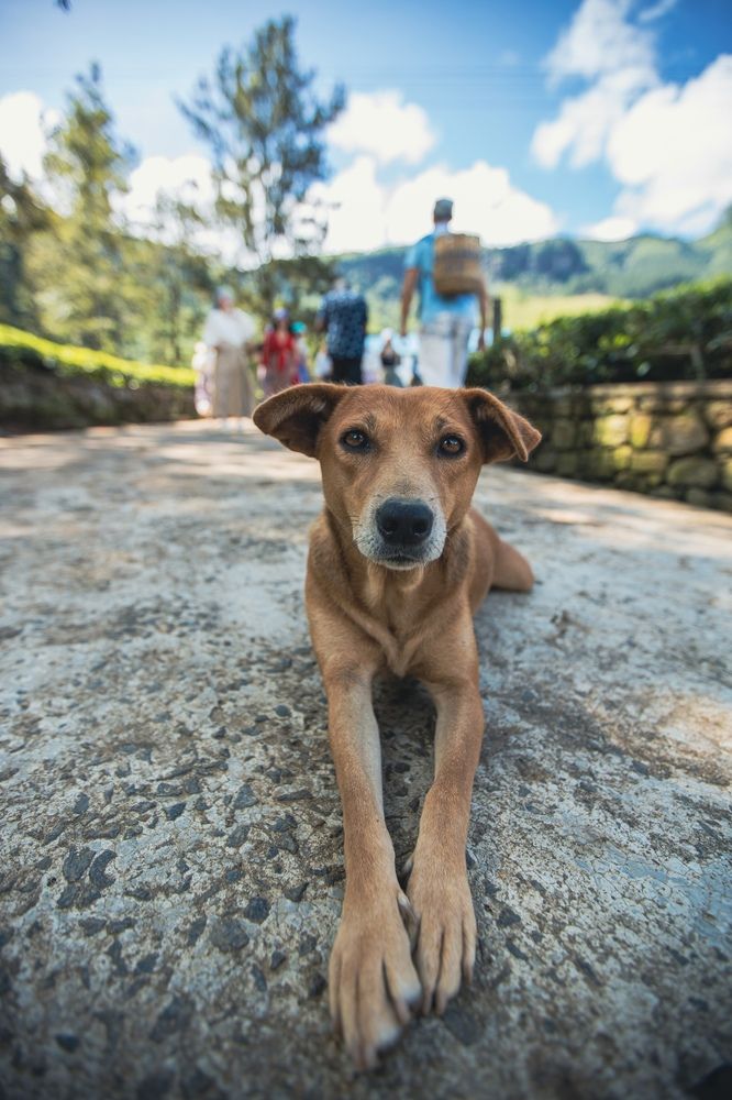Фотография автора Лукьянов Евгений