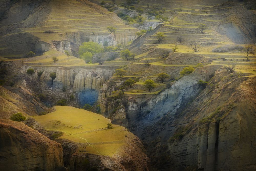 Photograph by Ирина Мошковская