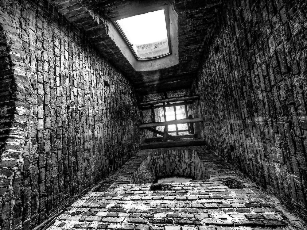 Photograph by Дмитрий Потапов