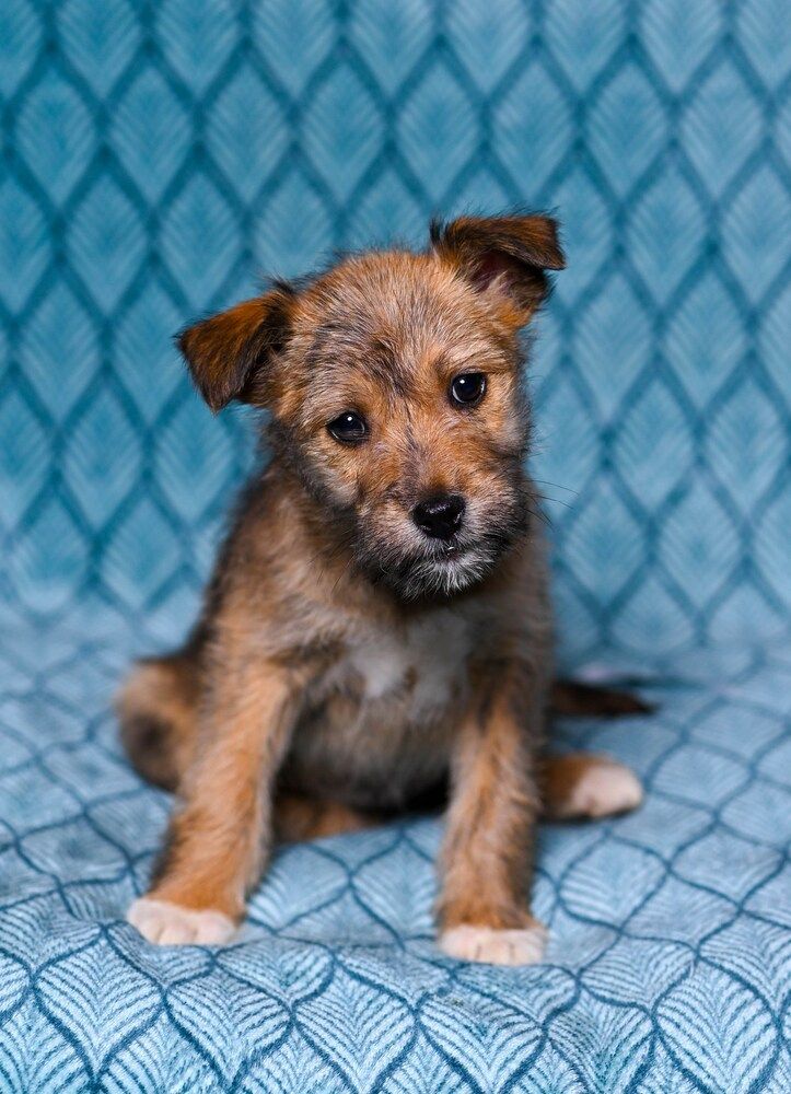 Photograph by Мария Лучкова