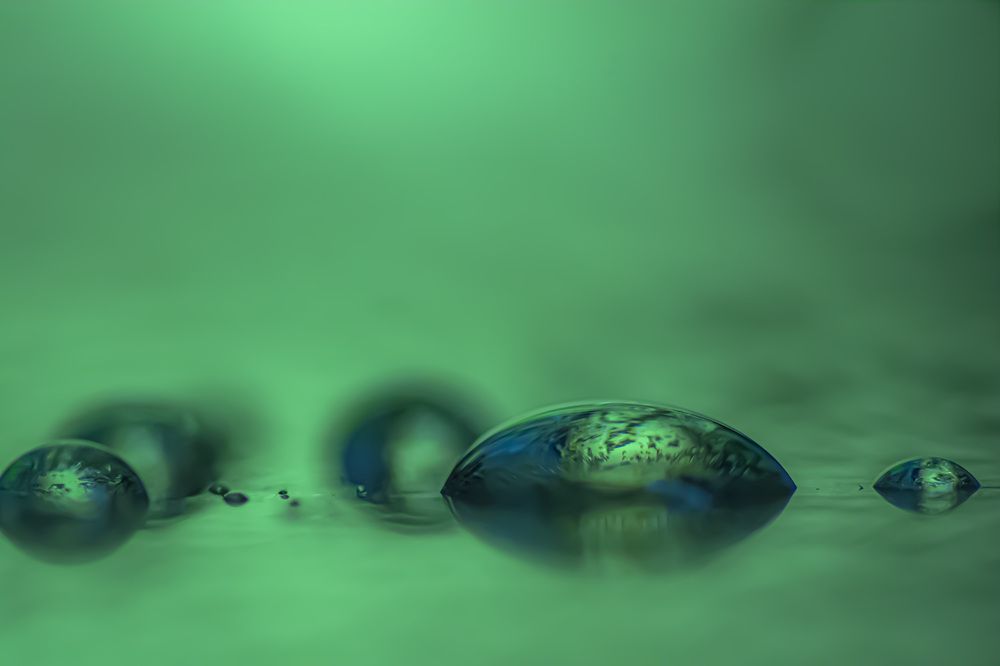 Photograph by Муза Латинская