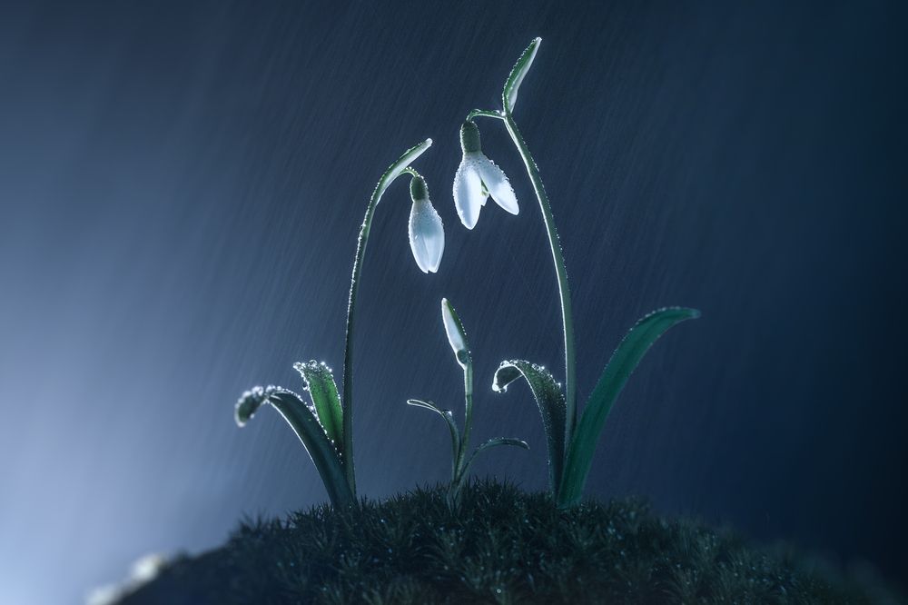 Photograph by Чорный Александр