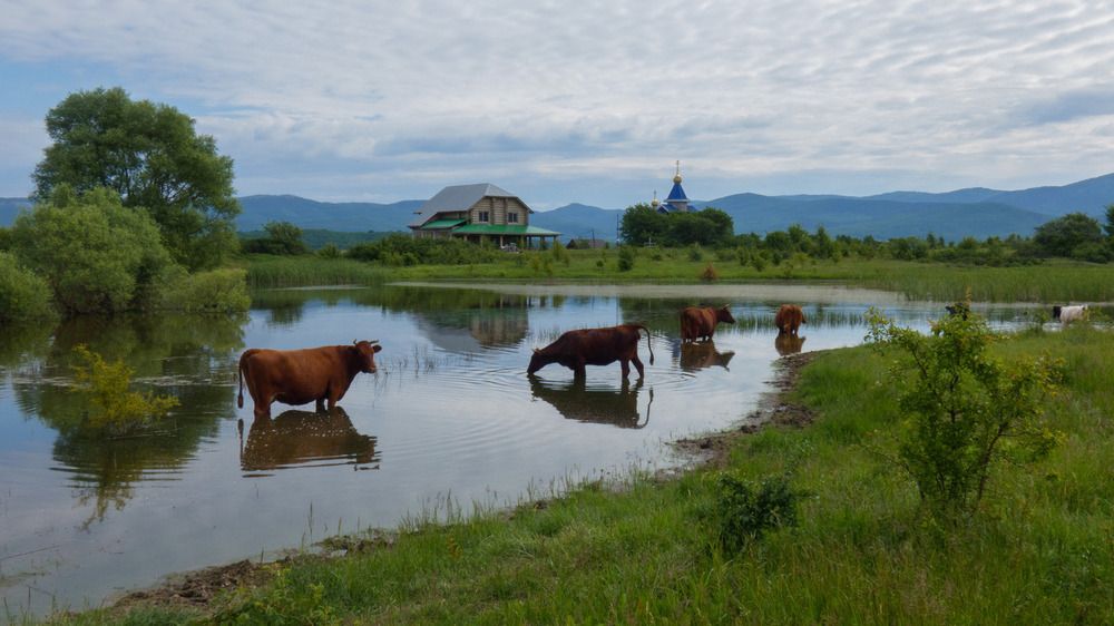 Photograph by Котенко Вадим