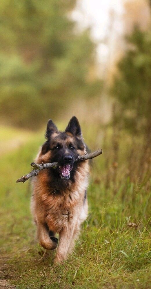 Photograph by Наталья Сотина