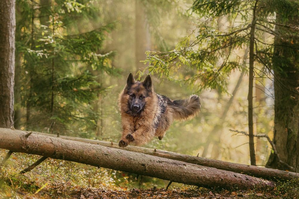 Photograph by Наталья Сотина