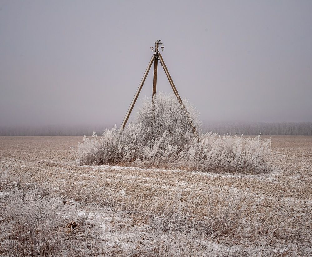 Зимний пейзаж