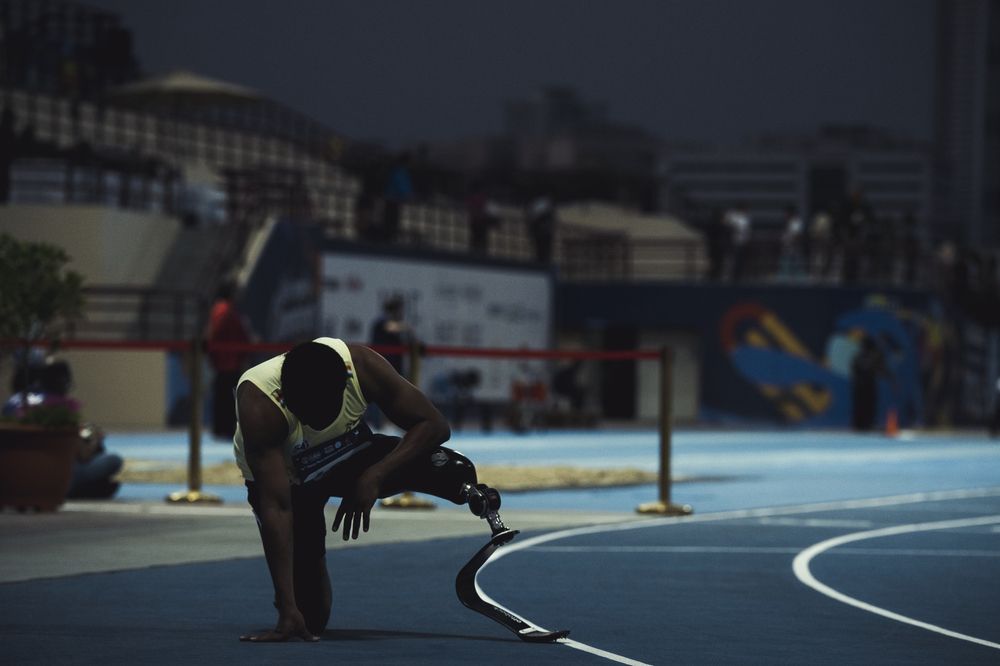 Фотография автора Kimia Shad