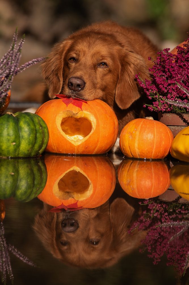 Фотография автора Ramona