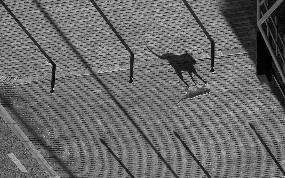 Photograph by Manjri Saxena