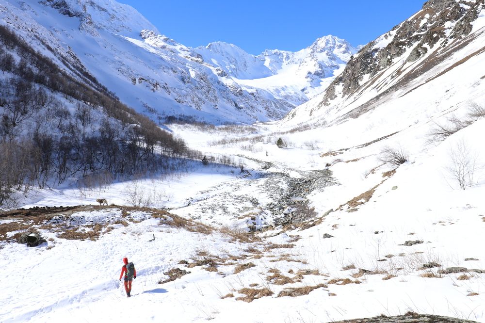 Фотография автора Tatiana Svistulina