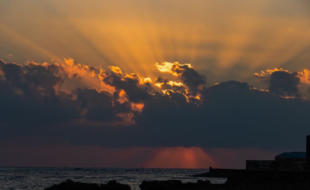 Фотография автора Adel Mahmoud