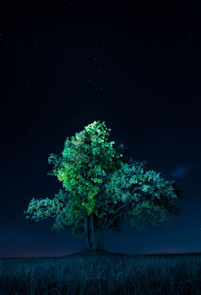 Photograph by Вячеслав Молодцов