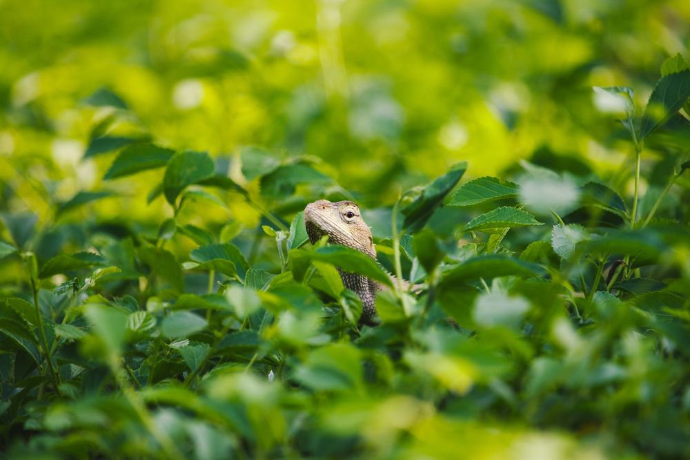 Photograph by Shadab Ishtiyak