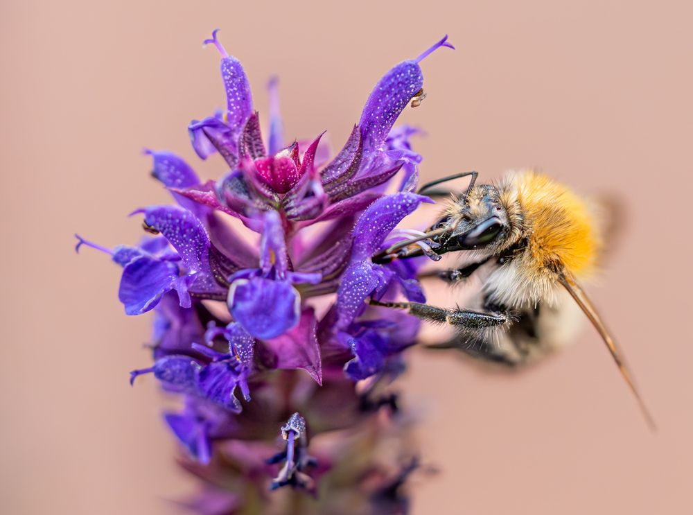 Photograph by Hannes Schwarz