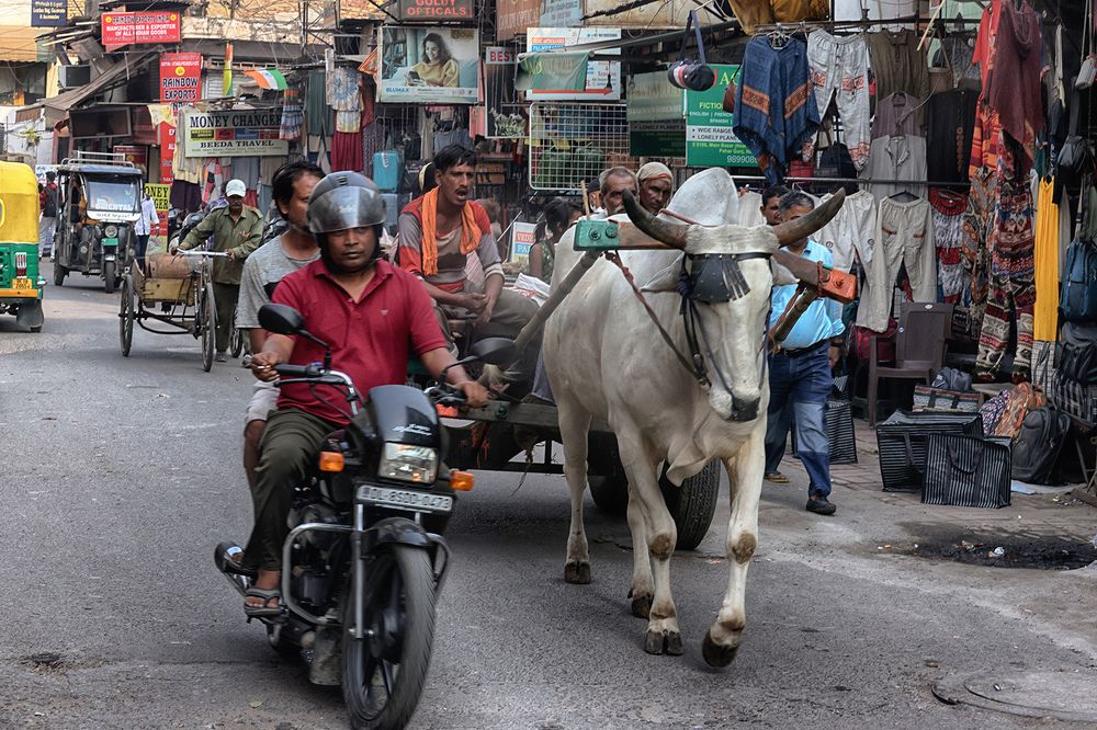 Индия - страна контрастов