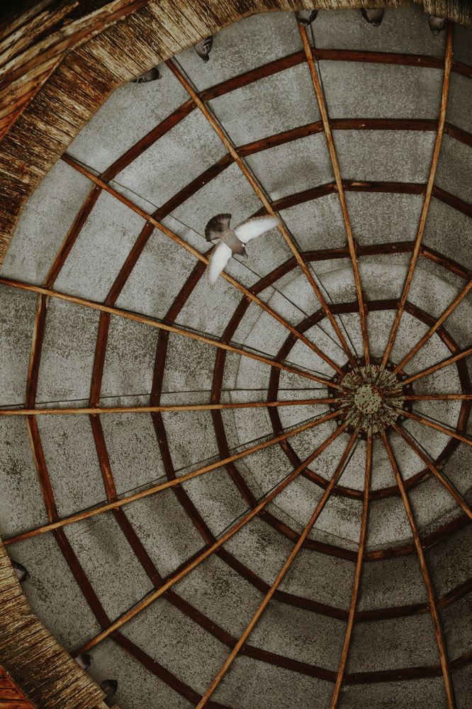 Photograph by Елена Леонидовна