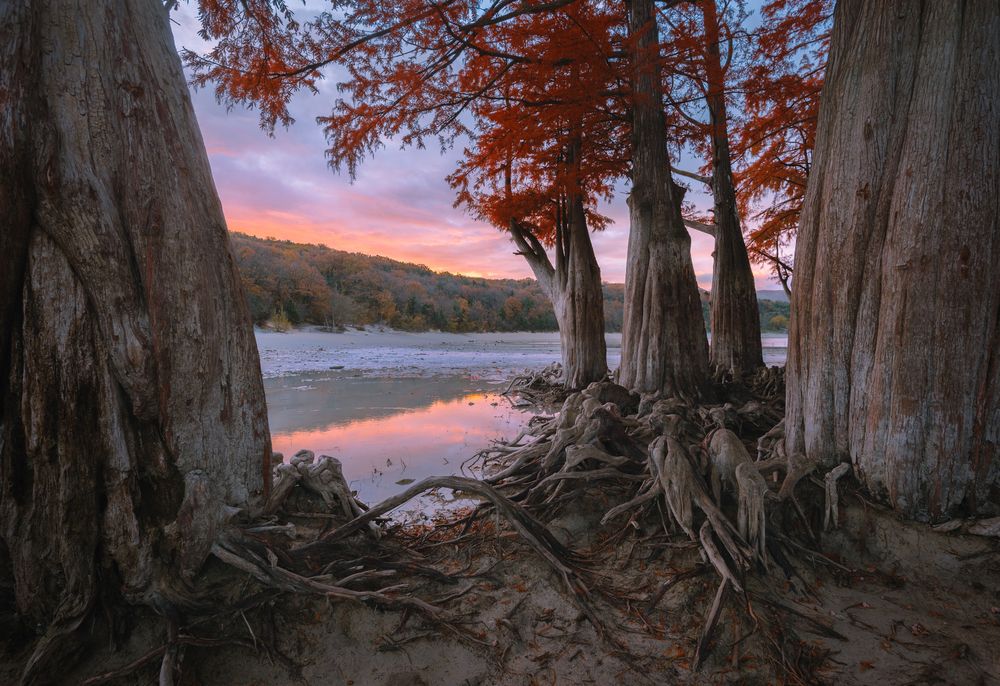 Photograph by Алексей Соколенко