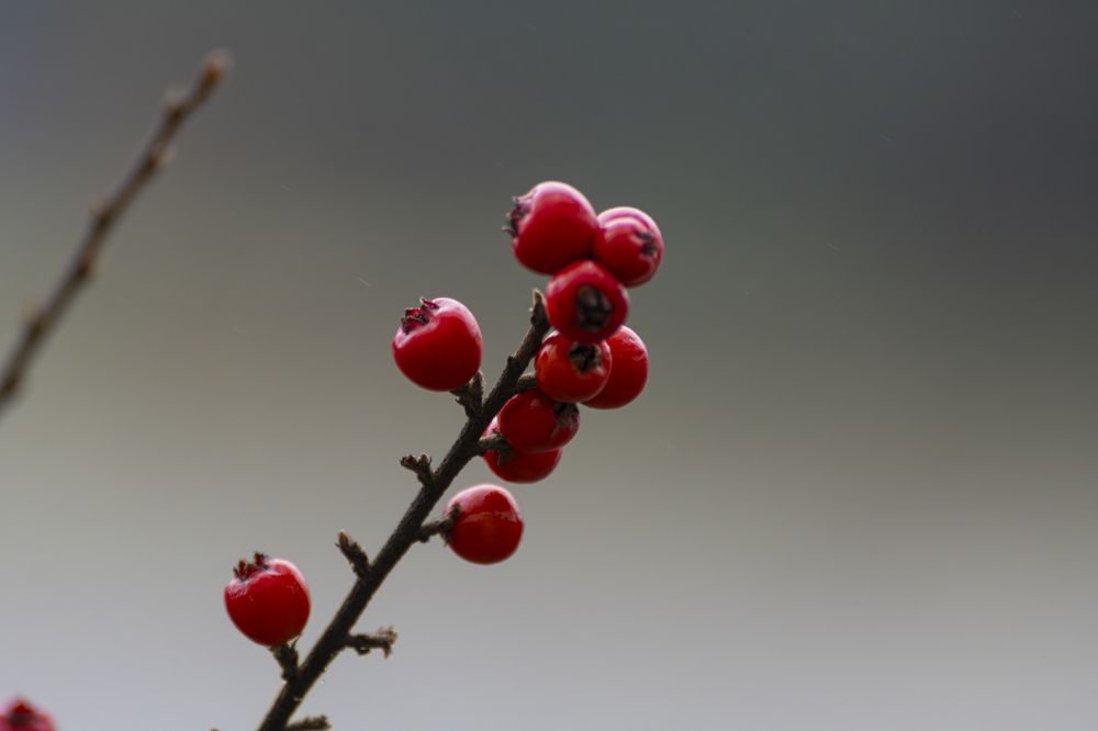 Photograph by Aleg Kazhushka