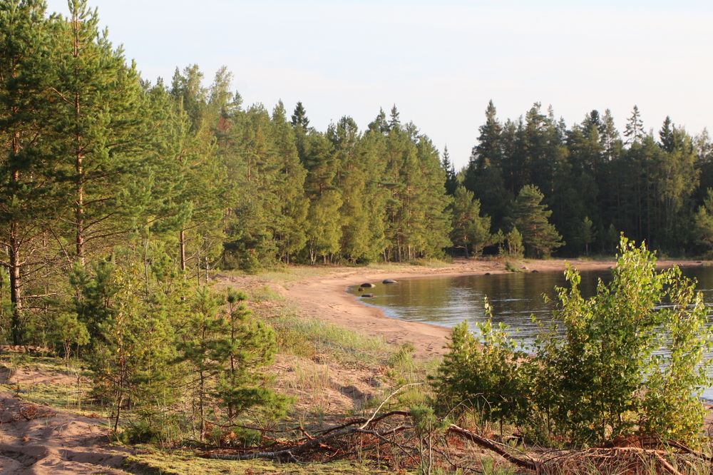 Photograph by Анастасия Бородина