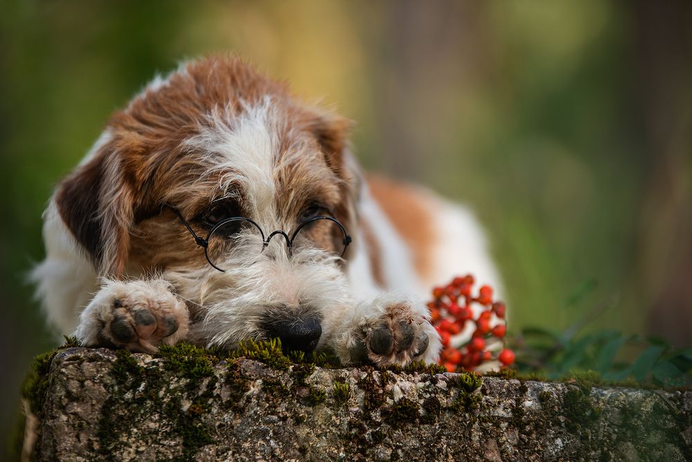 Фотография автора Ramona