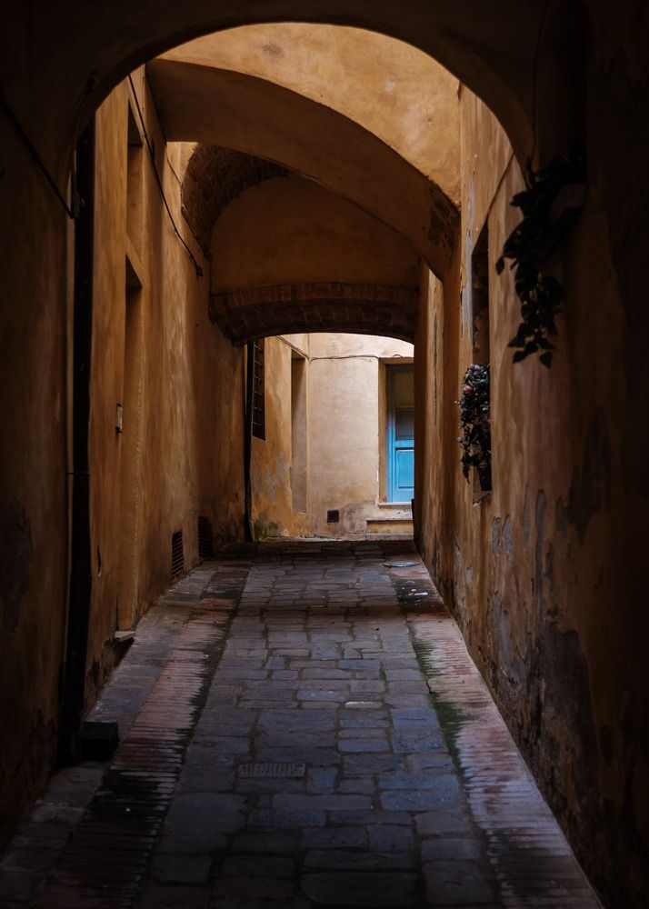 Photograph by Arkady Ostrovsky