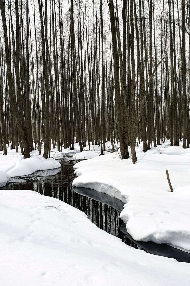 Водяной штрих-код