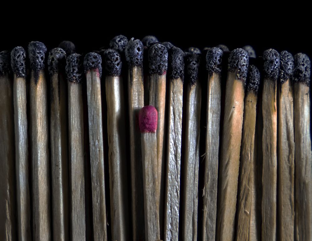 Photograph by reza haghjooy