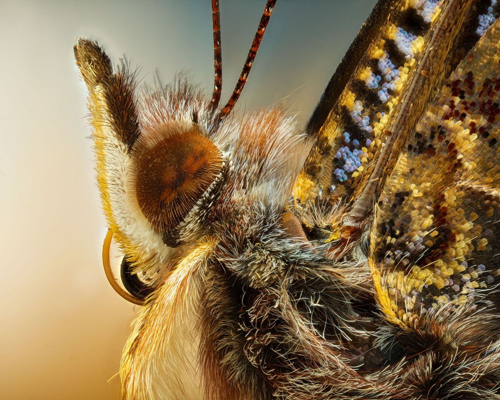 Photograph by Юрий Юрьевич Подгрушный