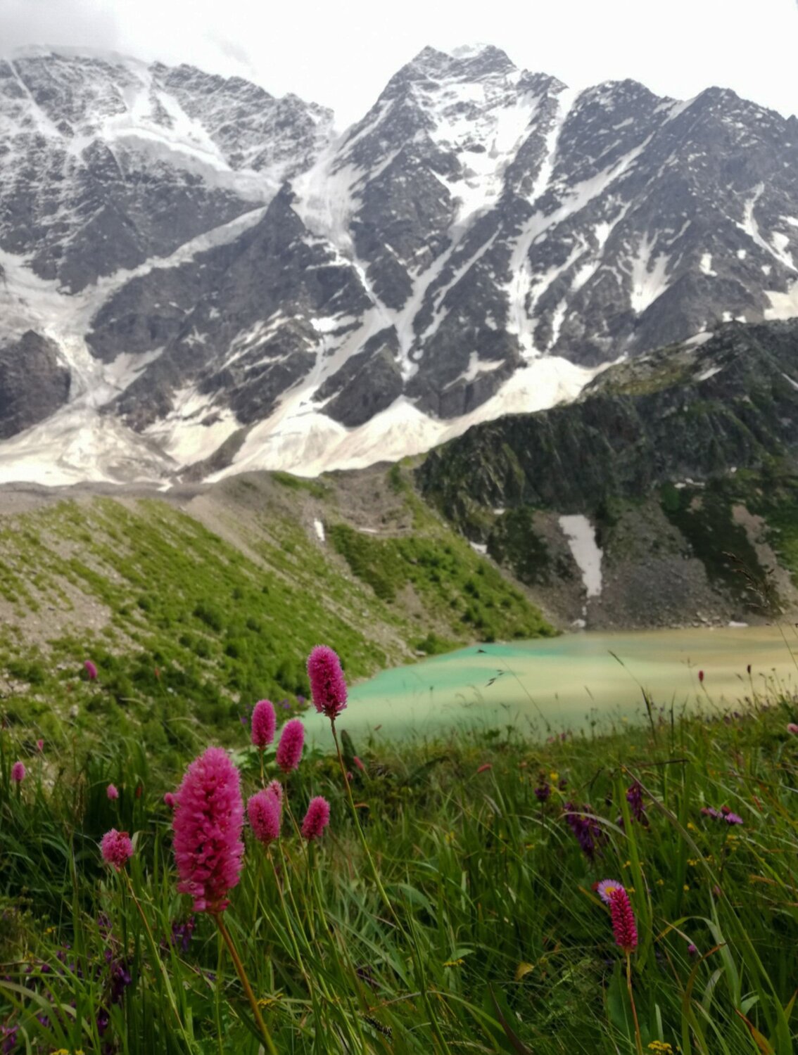 Photo #11998552