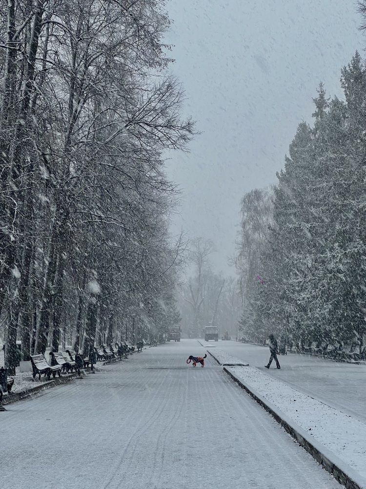 Photograph by Elvira