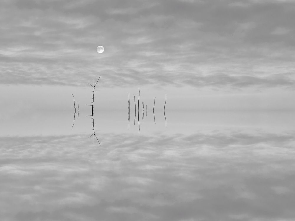 Photograph by Наталья Сережко