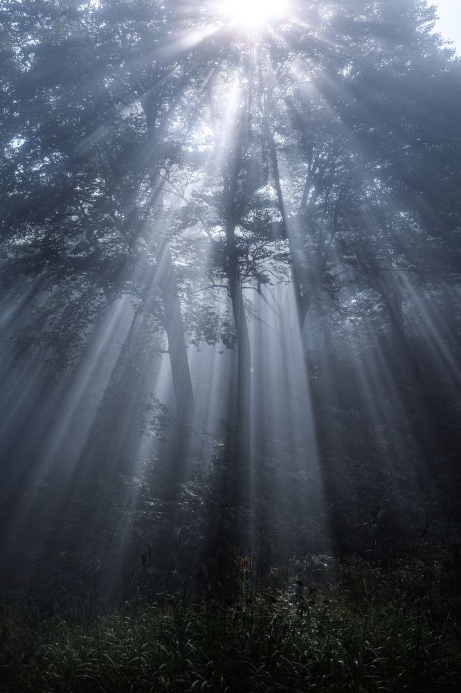 Photograph by 南雲 柊人