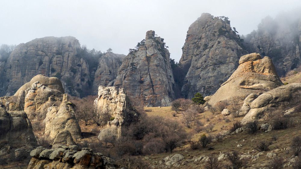 Photograph by Котенко Вадим