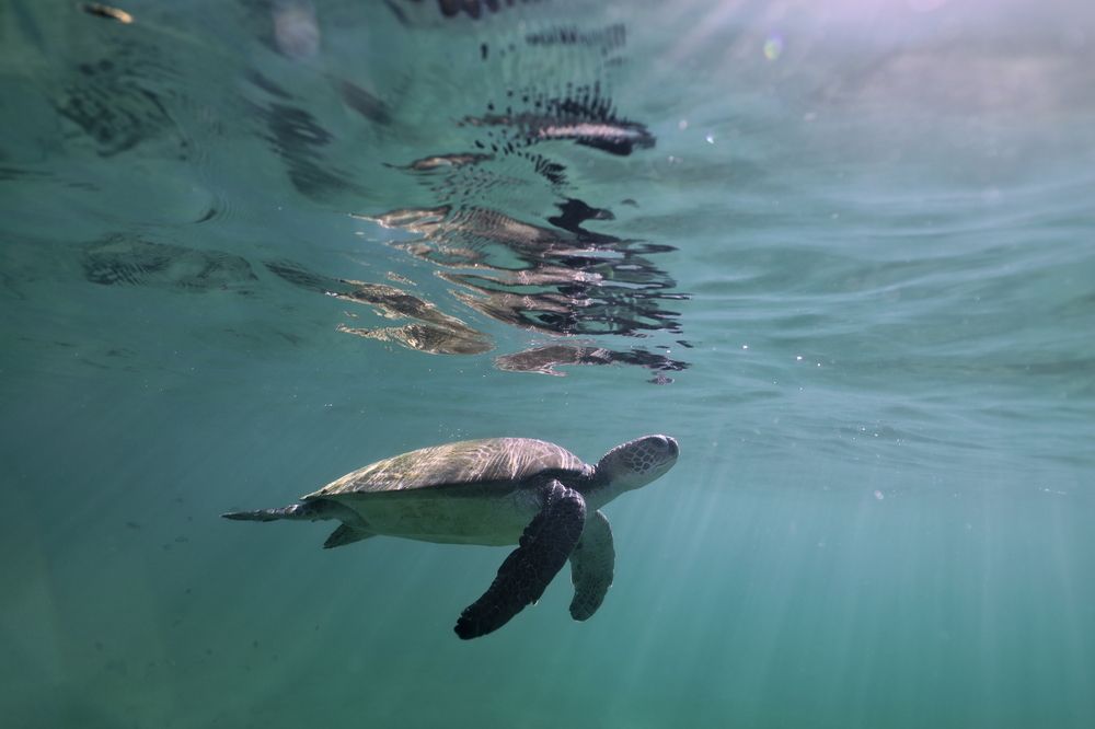 Photograph by João Pompeu