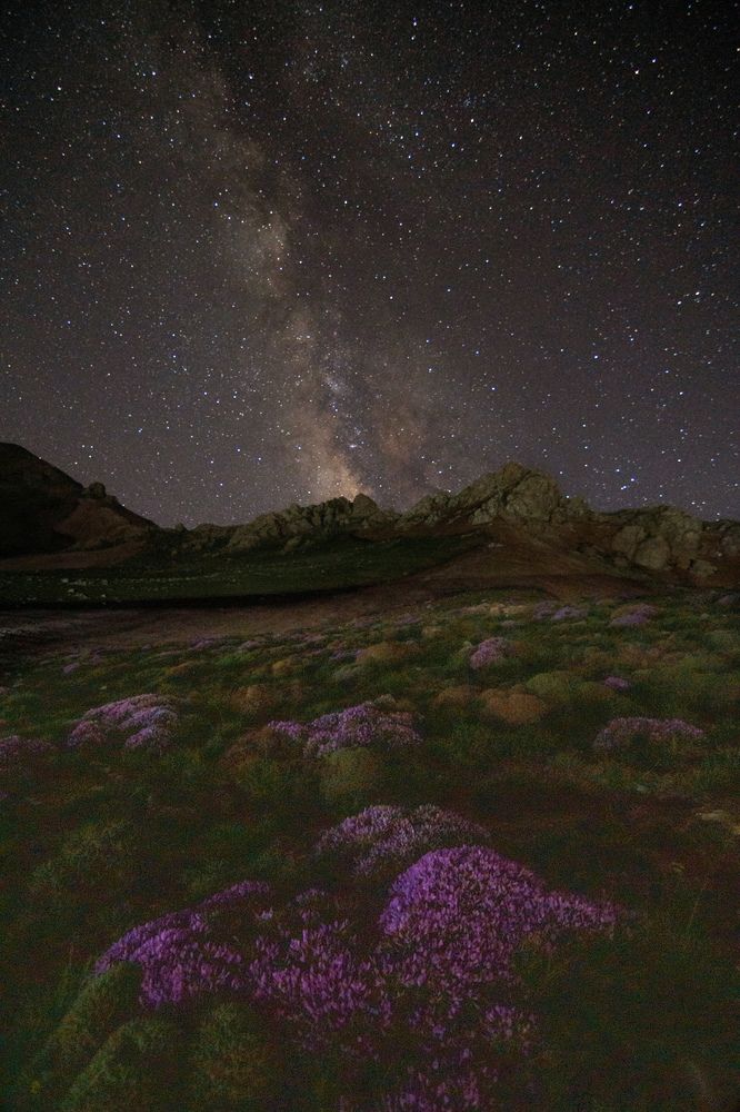 Фотография автора mohammad Alipour