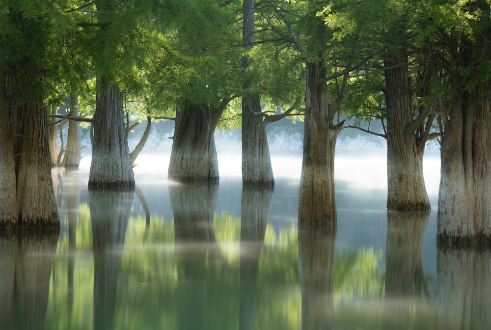 Photograph by Алексей Соколенко