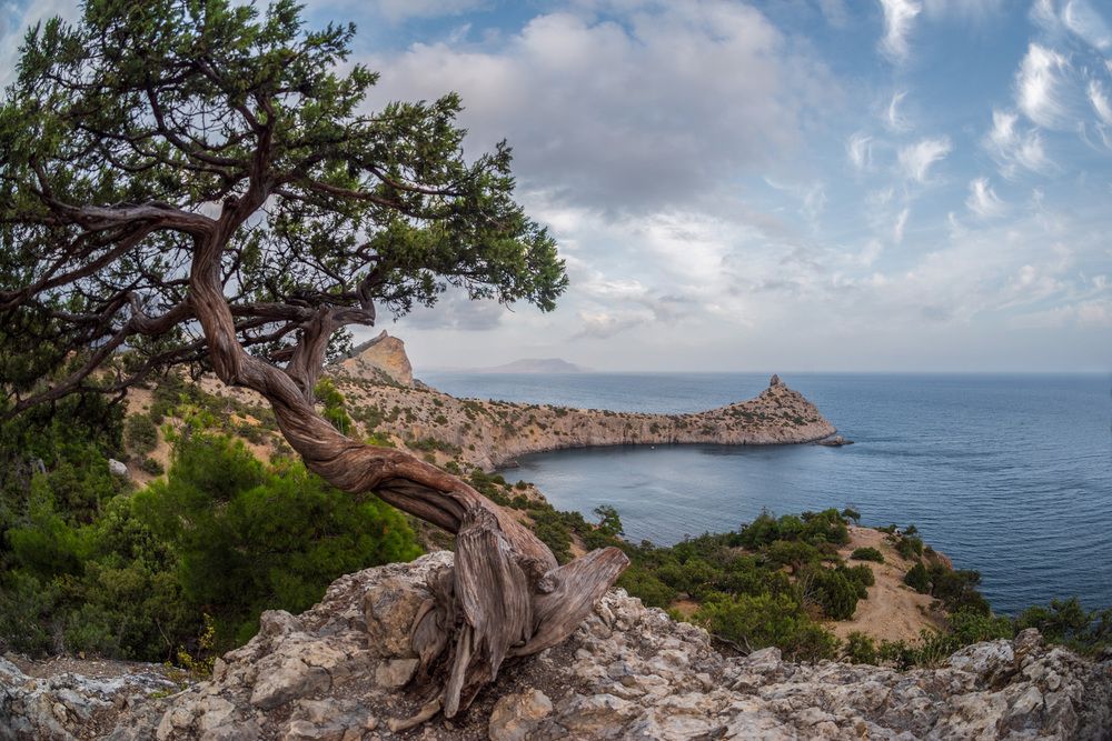 Photograph by Котенко Вадим