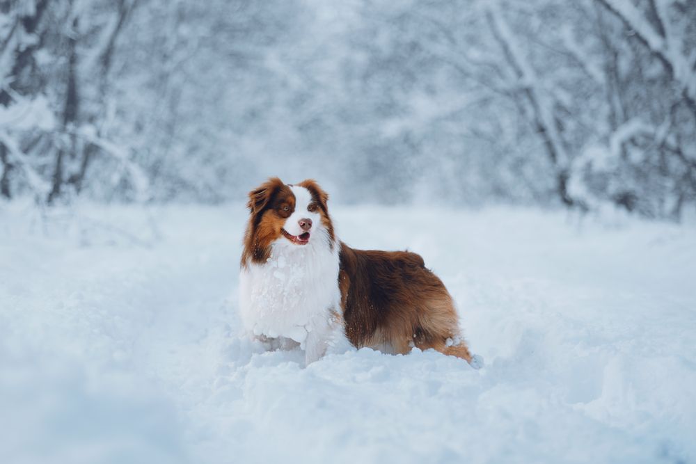 Photograph by Алексей Соколенко