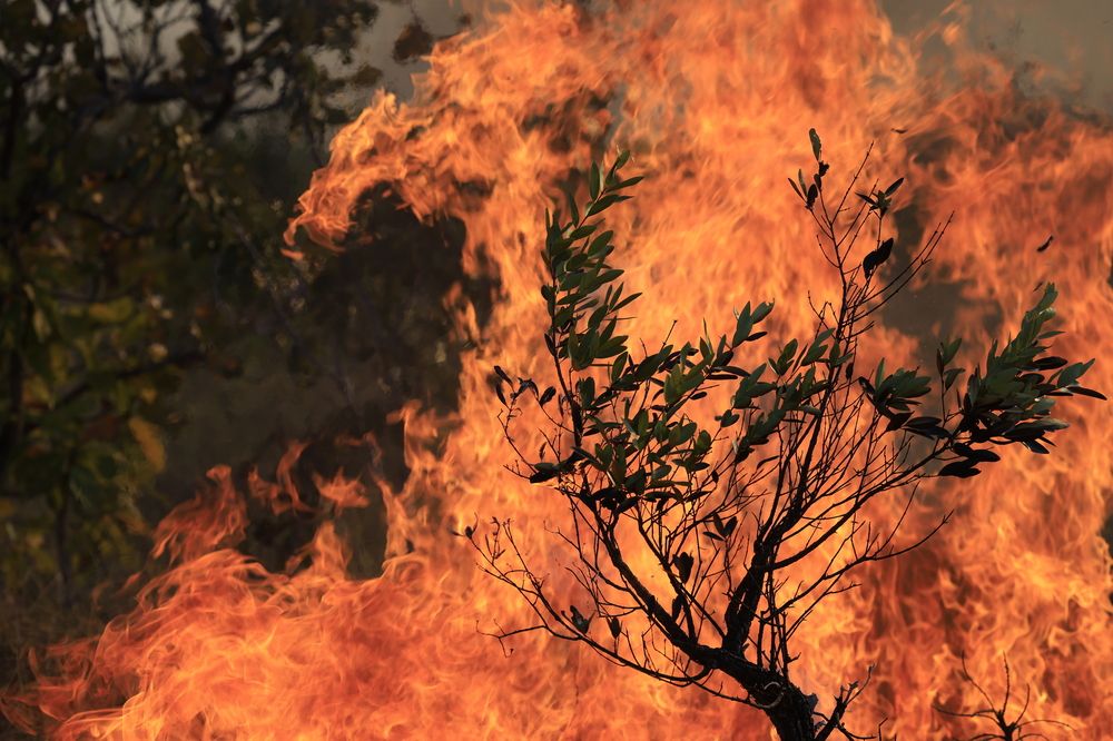 Photograph by João Pompeu