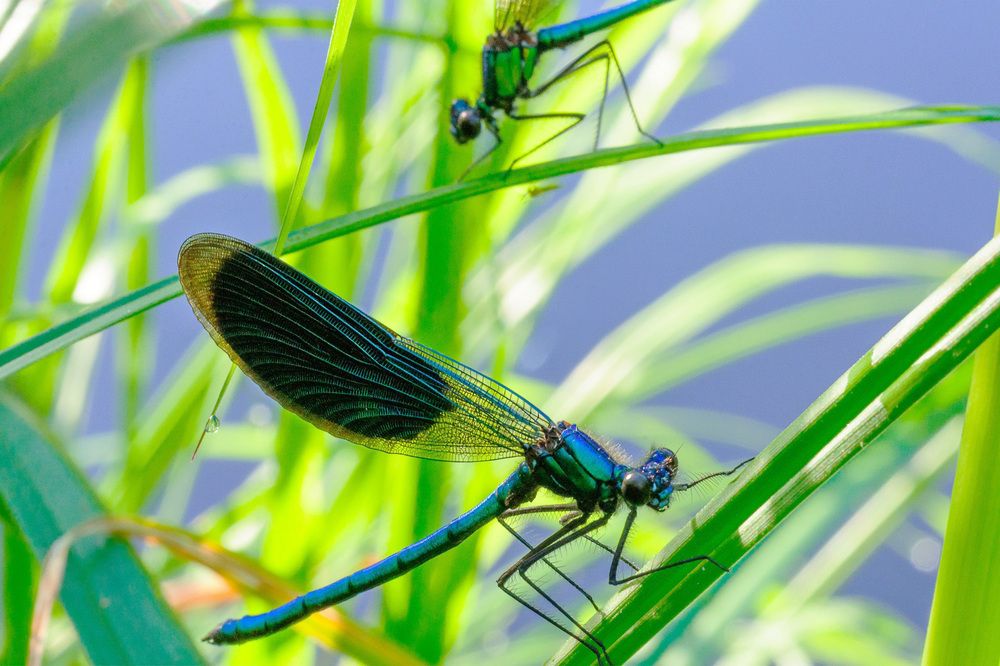 Photograph by Власов Андрей