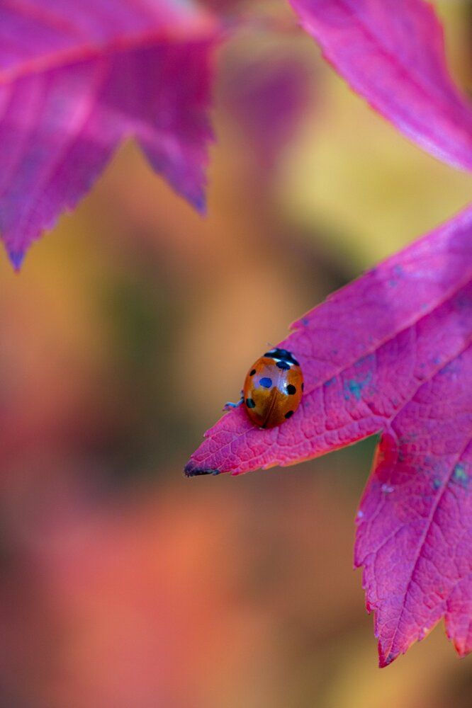 Photograph by Власов Андрей