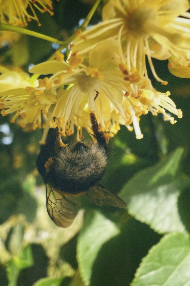 Photograph by Elvira