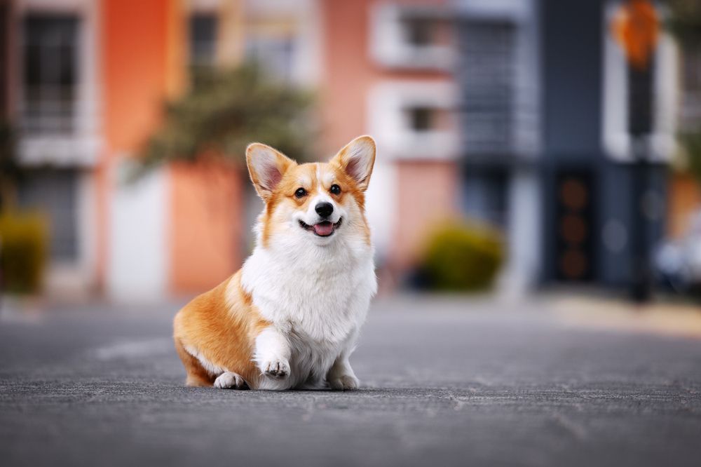 Photograph by Анна Титова